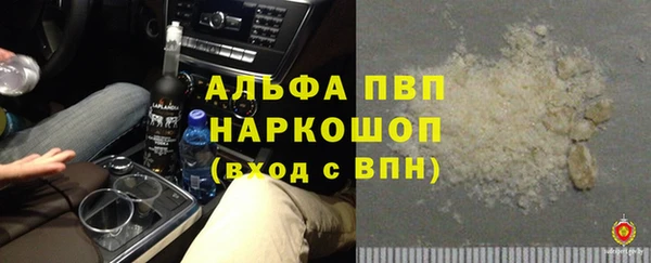 хмурый Нея