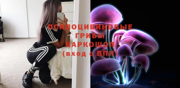 хмурый Нея