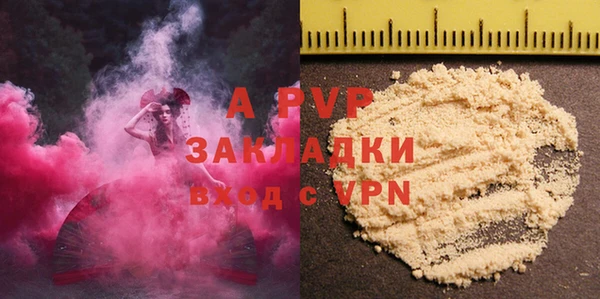 хмурый Нея