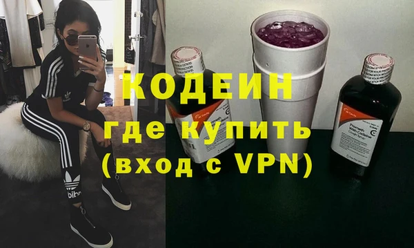 хмурый Нея