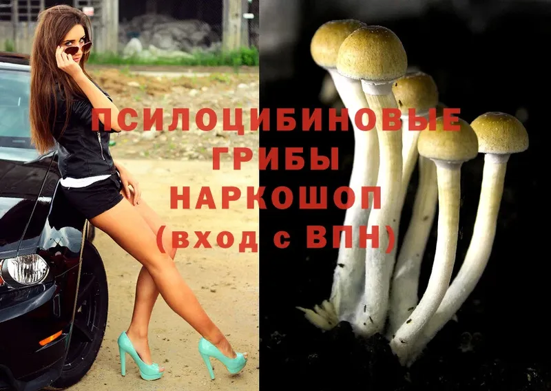 Галлюциногенные грибы Magic Shrooms  Шумерля 