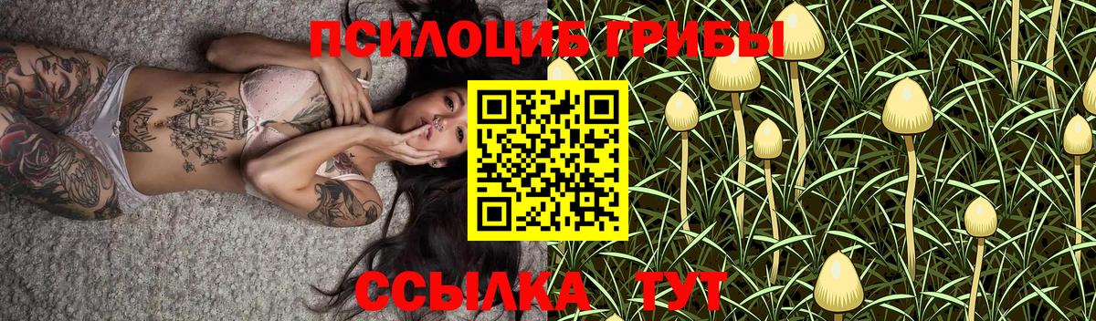 Псилоцибиновые грибы Psilocybine cubensis  даркнет сайт  Шумерля  Вход с VPN  Галлюциногенные грибы мухоморы 