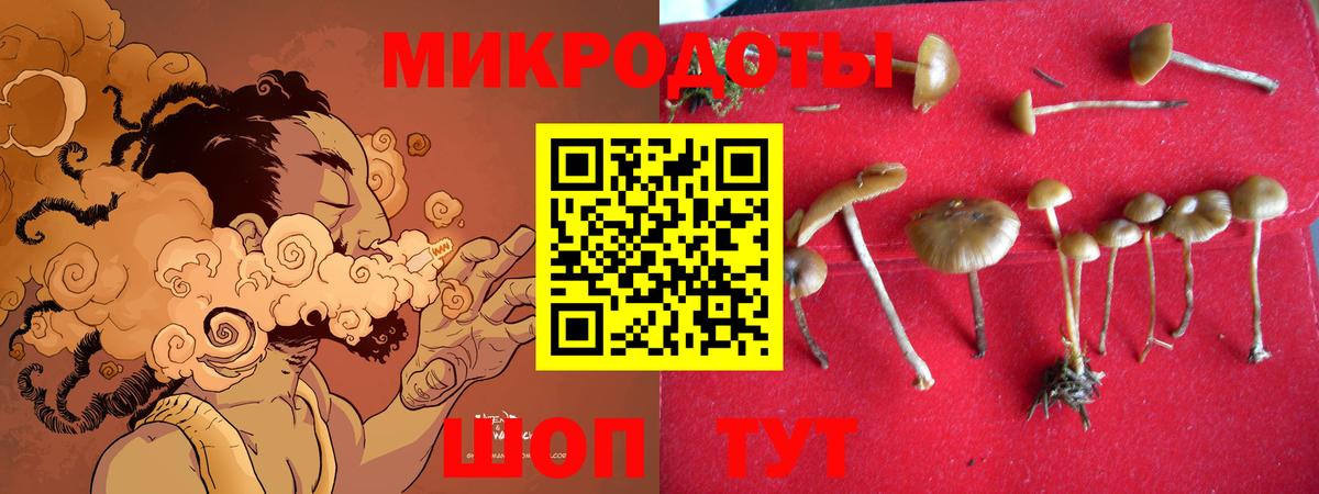 Псилоцибиновые грибы MAGIC MUSHROOMS Шумерля
